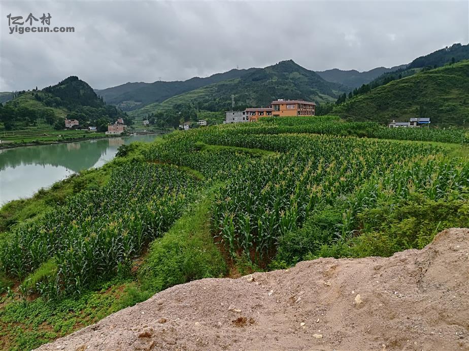 图片_贵州省黔东南州镇远县青溪镇甘溪村