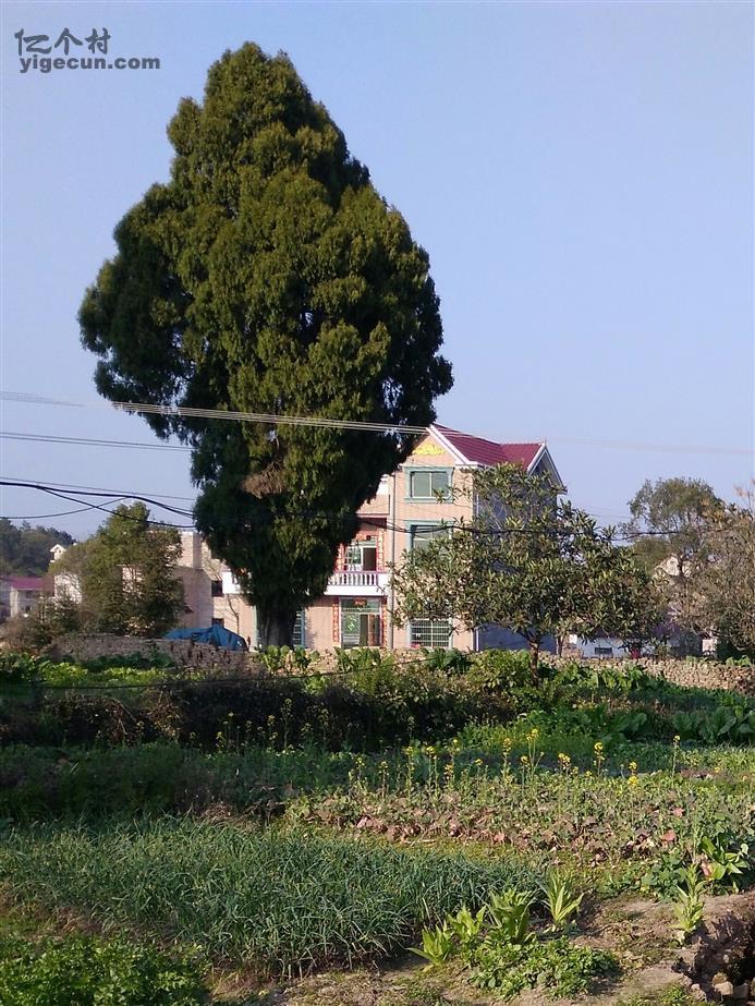 图片_江西省吉安市万安县潞田镇东村