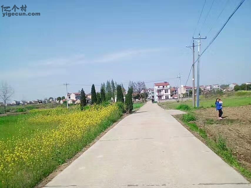 湖北省孝感市应城市天鹅镇西湖村图片