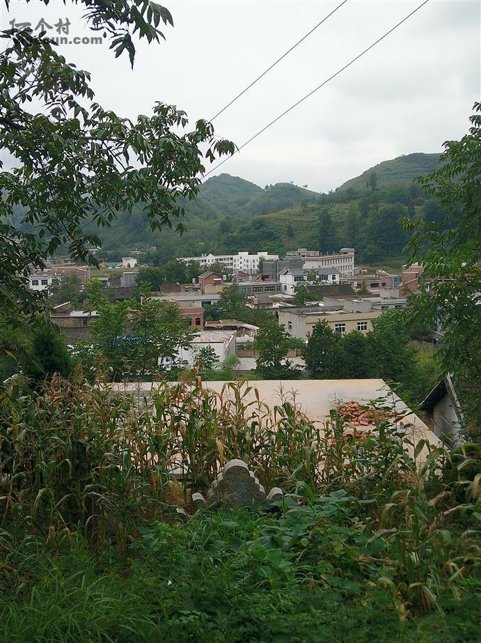 贵州省毕节市七星关区长春堡镇王丰村图片