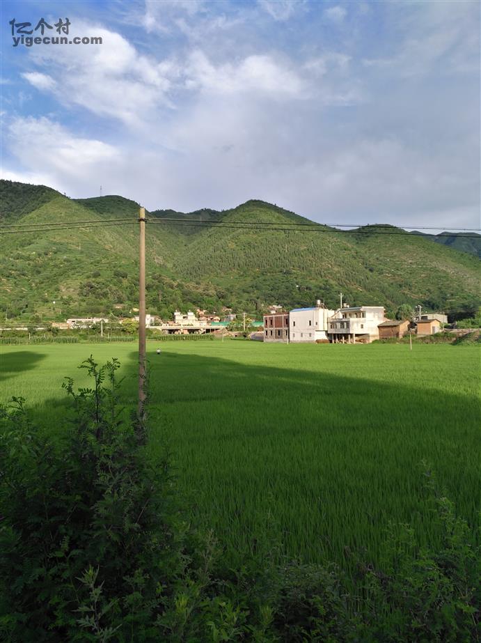 雲南省曲靖市會澤縣迤車鎮中寨村圖片