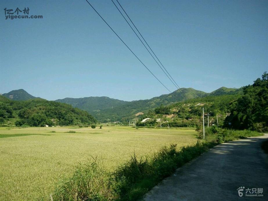 福建省宁德市福安市下白石镇章坑村图片