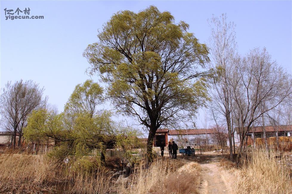 胡官村图片