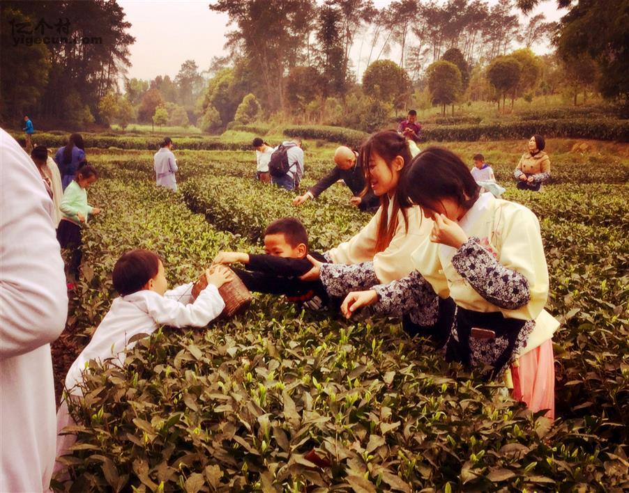 四川省成都市蒲江县甘溪镇箭塔村图片