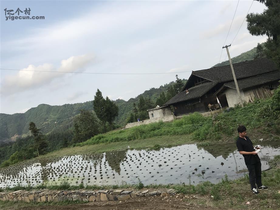 贵州省黔东南州岑巩县天马镇岩湾村图片