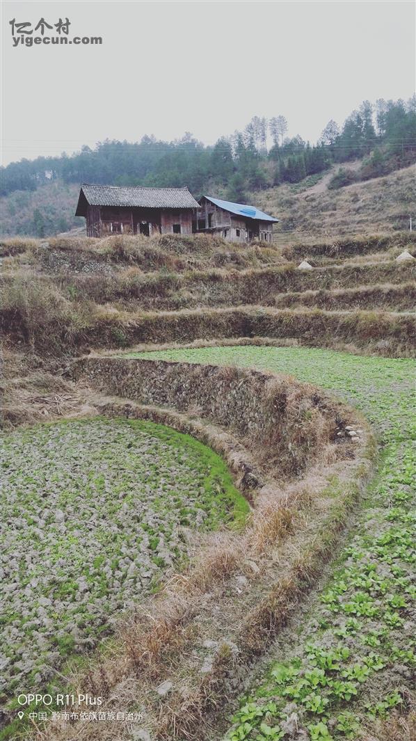 贵州团山村图片