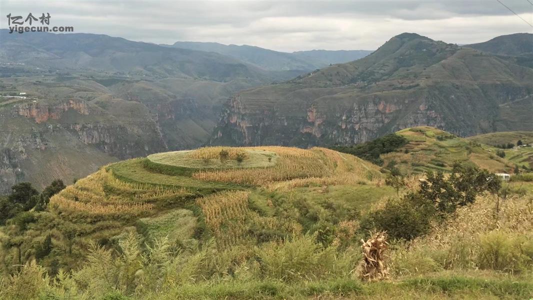 云南省曲靖市会泽县火红乡龙树村图片