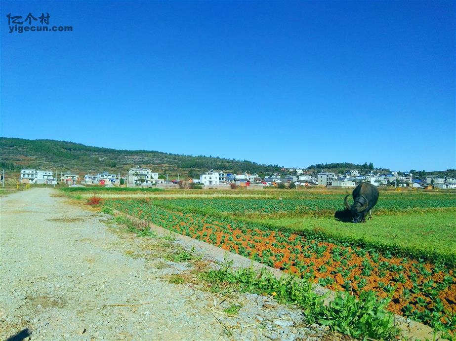 云南省曲靖市沾益县菱角乡块所村图片