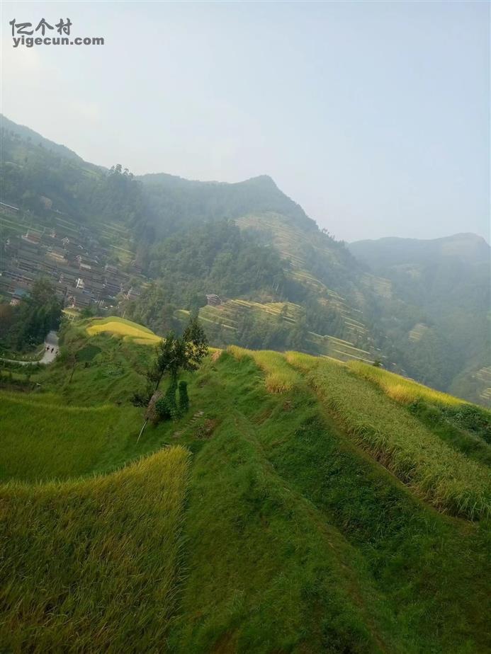 广西柳州市三江县同乐乡八吉村图片