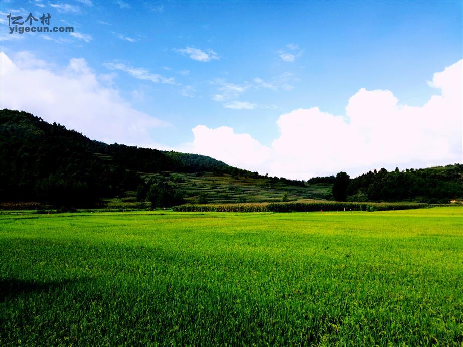 云南省曲靖市沾益县菱角乡块所村图片