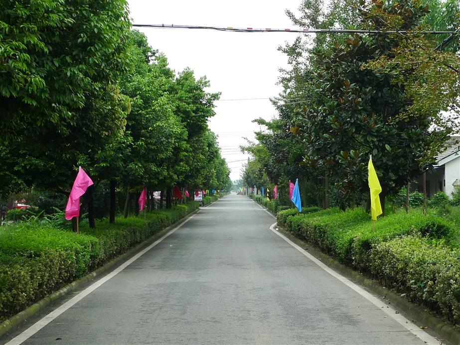 四川省德阳市什邡市马祖镇马祖村图片