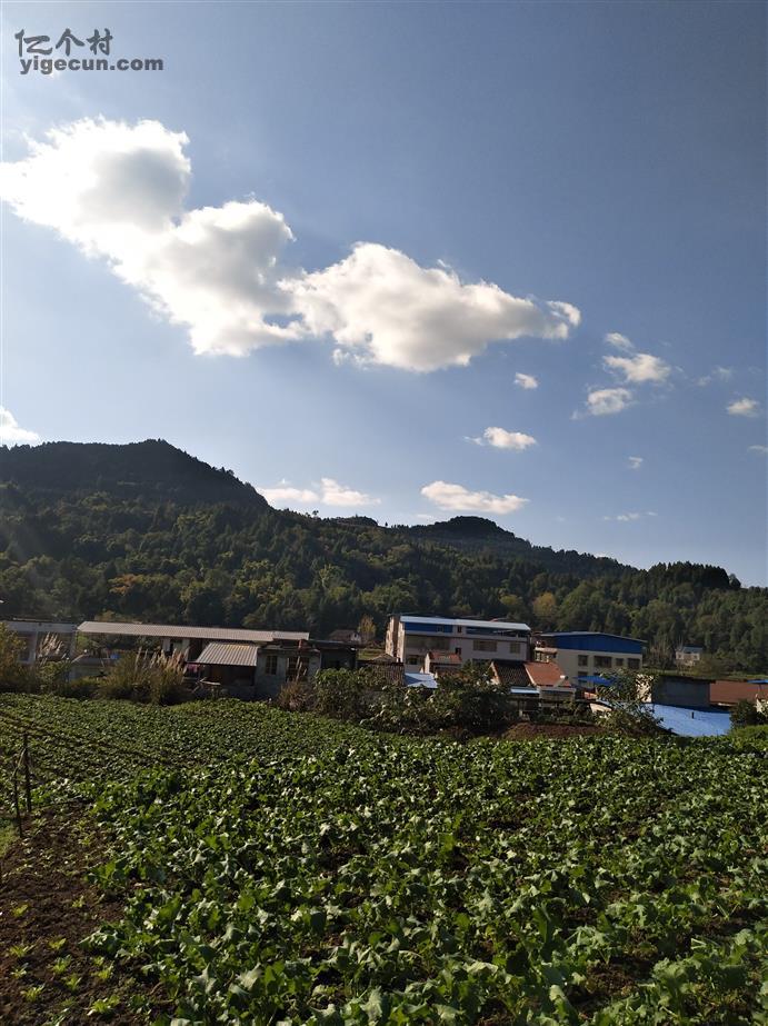 四川省南充市阆中市柏垭镇莲池村图片