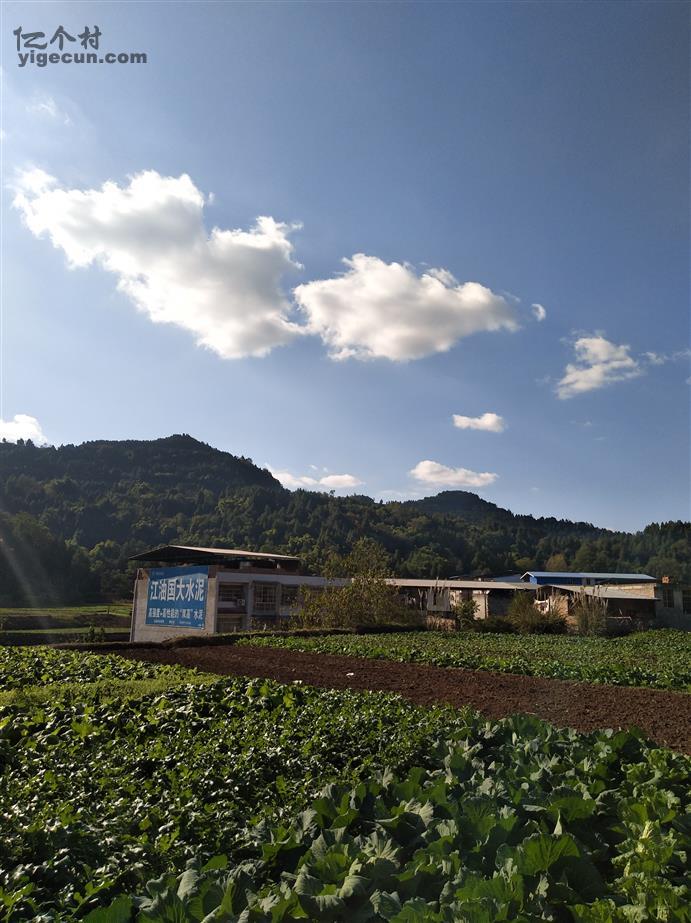 四川省南充市阆中市柏垭镇莲池村图片