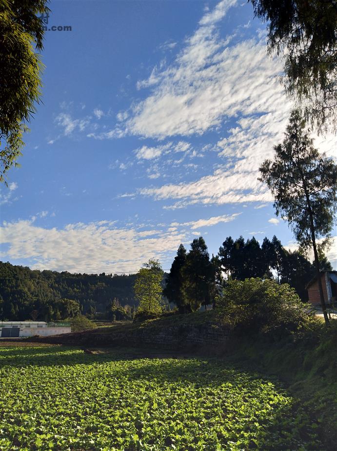 四川省南充市阆中市柏垭镇莲池村图片