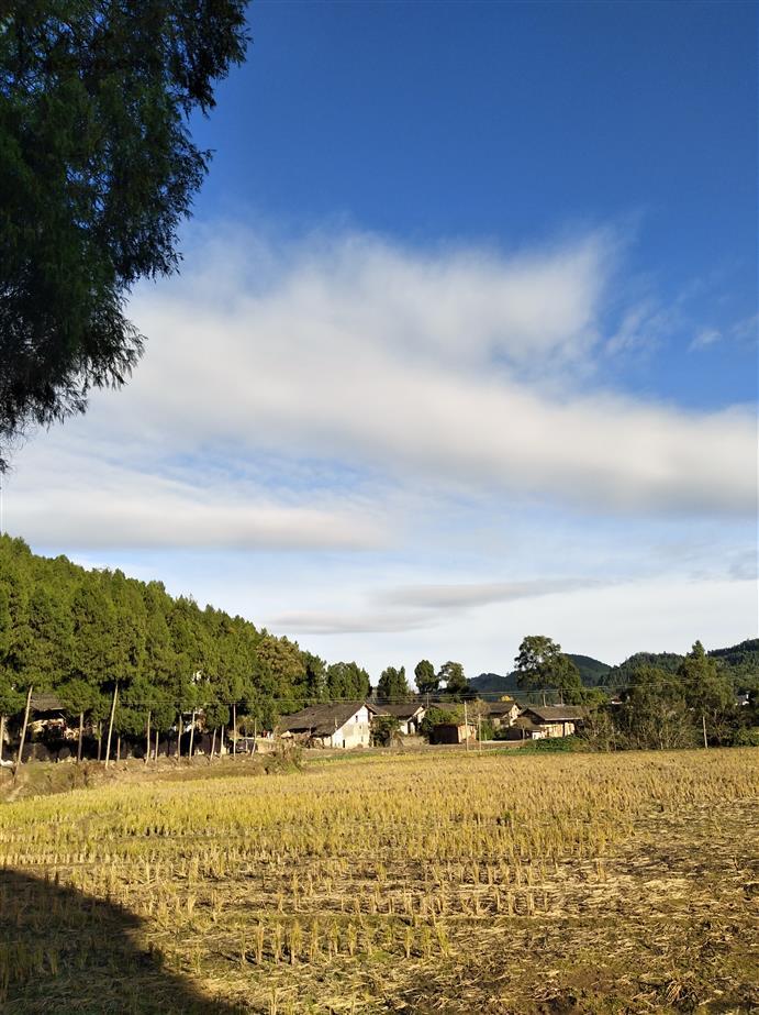 四川省南充市阆中市柏垭镇莲池村图片