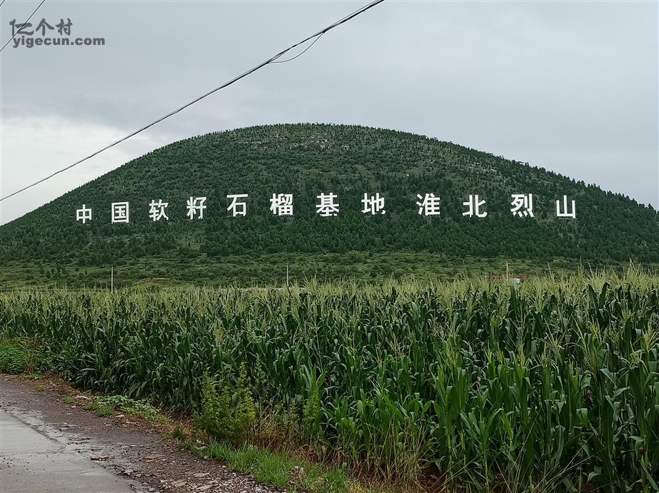 安徽省淮北市烈山区烈山镇南庄村图片