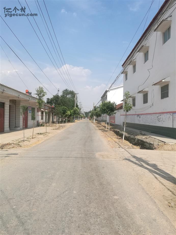 河南省周口市扶沟县练寺镇晋桥村图片