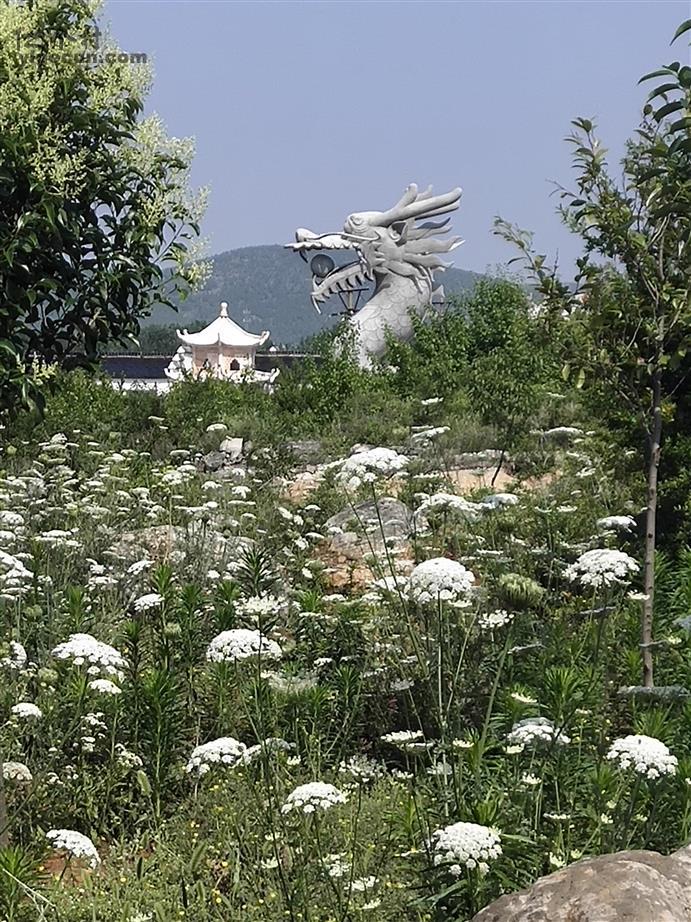 安徽省淮北市烈山区烈山镇南庄村图片