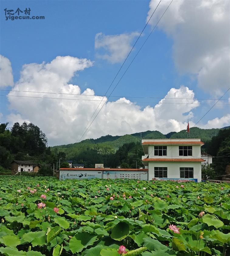 五龙村