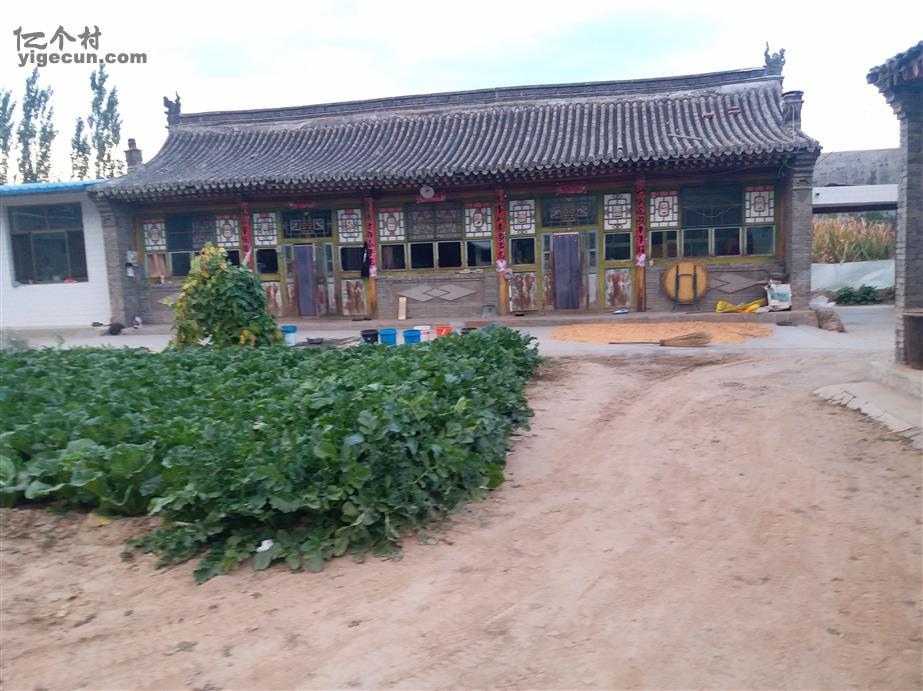 代县房产市场风云再起：机遇与挑战并存