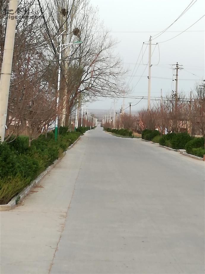 陕西省渭南市澄城县冯原镇关家桥村图片