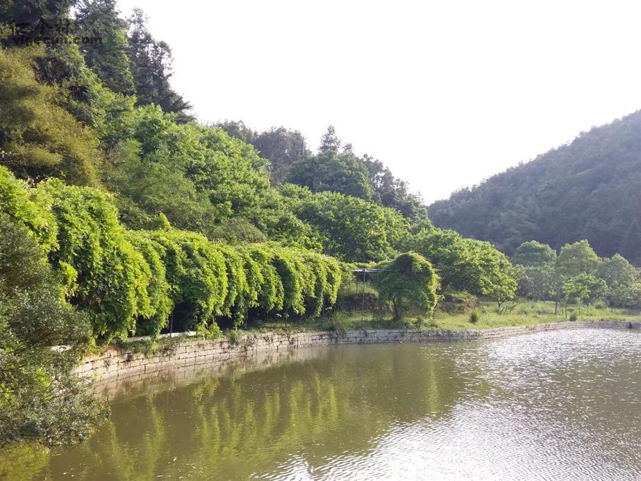 福州宦溪镇旅游景点图片