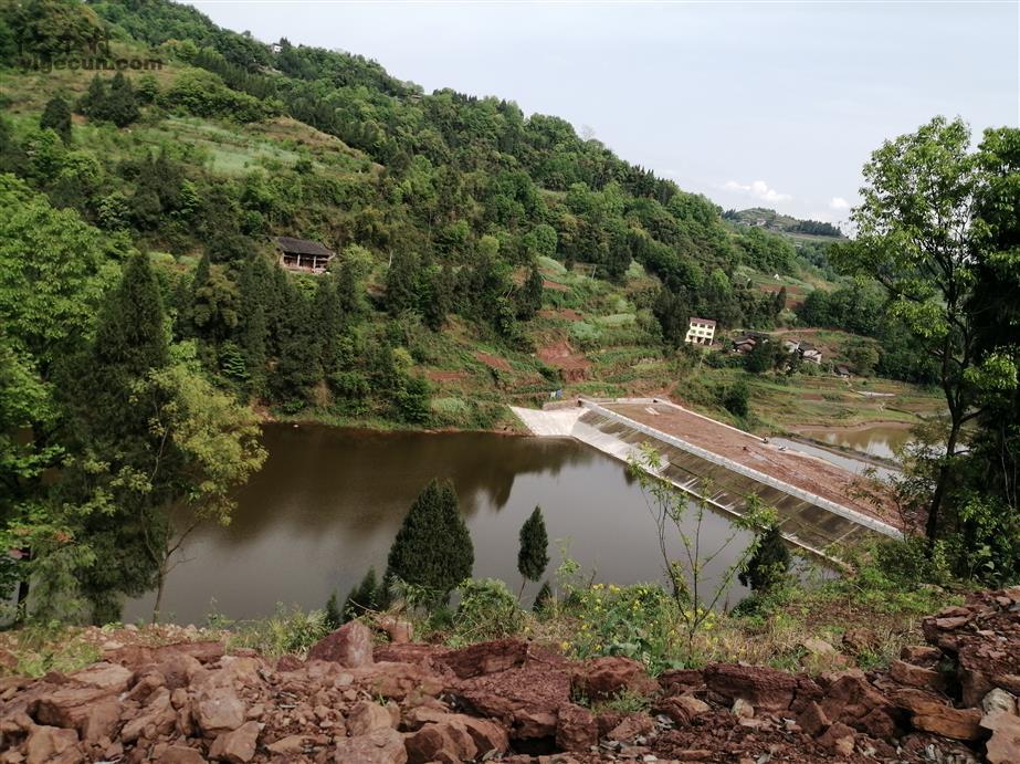 重庆市忠县野鹤镇东子村图片