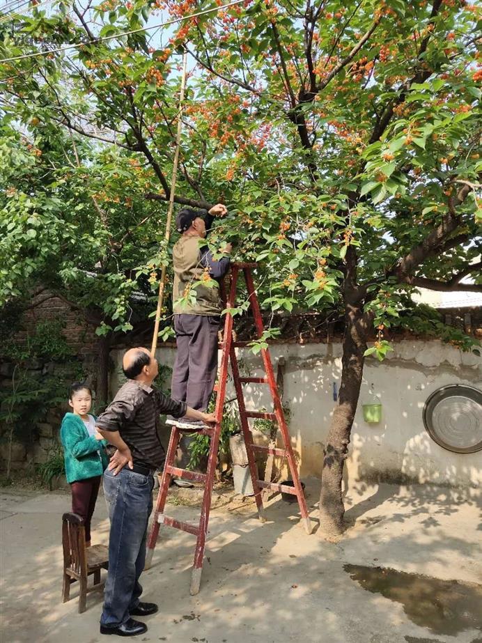 江苏省徐州市铜山区三堡镇三堡村图片