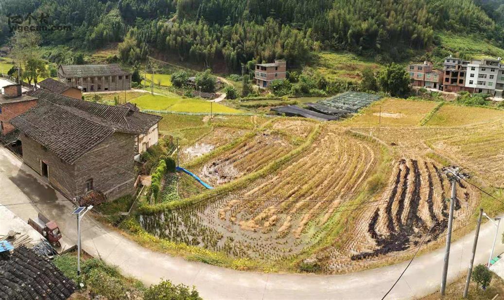 福建省南平市延平区洋后镇坑门村图片