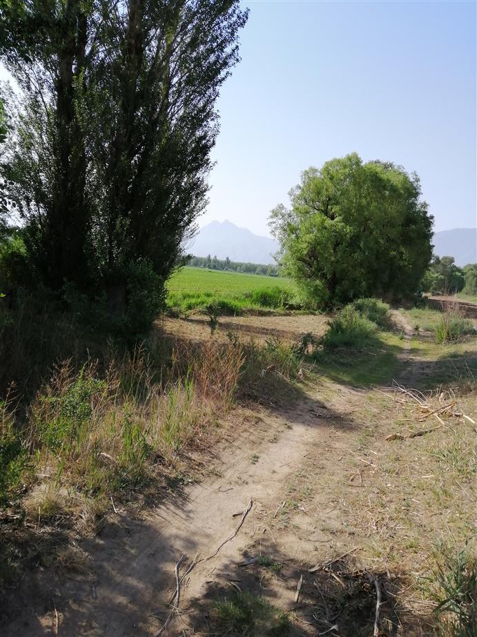 河北省张家口市阳原县东井集镇东堰头村图片