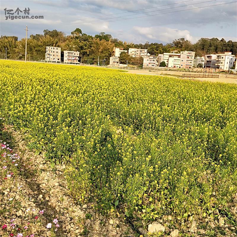 图片_广东省梅州市五华县安流镇长江村