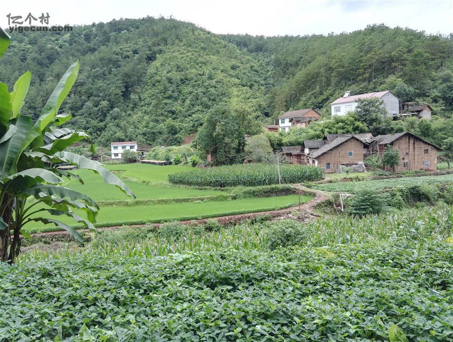 湖北省襄阳市南漳县巡检镇龚家坪村图片