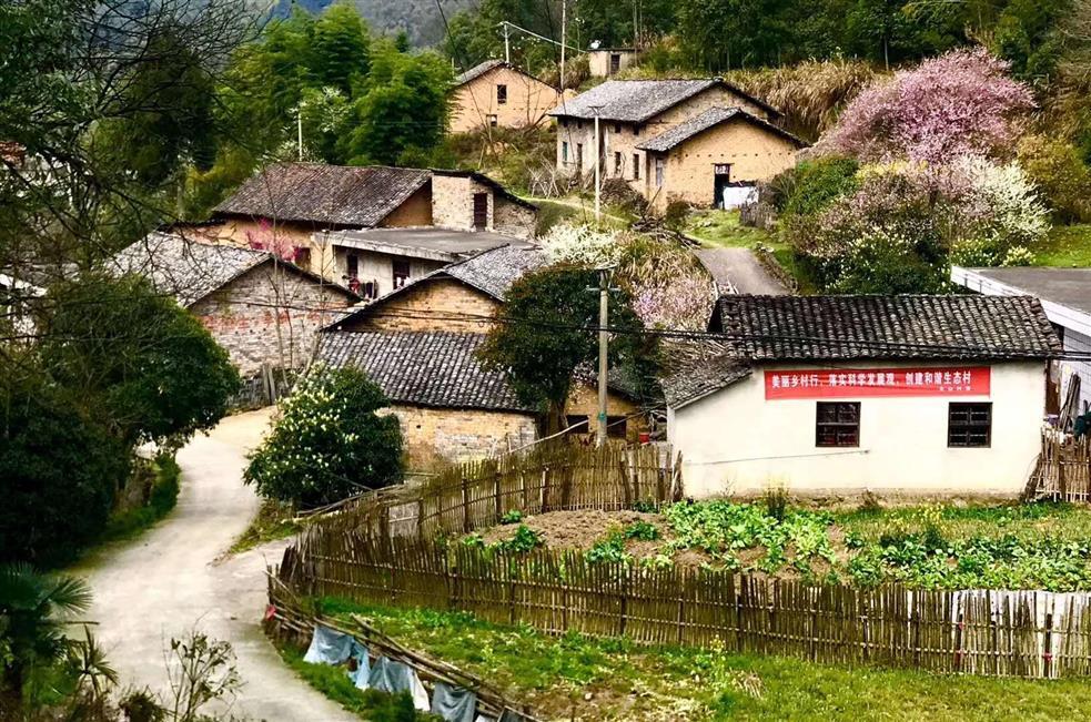 湛江北山村图片