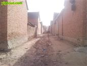 河南省,周口市,太康县,高朗乡,马图河村