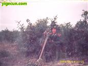 李自勺村 1991年10月在河南确山靶场指挥作业。