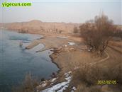 河靖村       河靖村黄河沿岸冬季风景