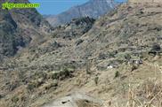 金满村 金满村，隶属于怒江州泸水县洛本卓乡。全村住户334家，1337人，全为白族的勒墨人支系