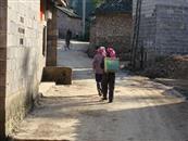 云南省,曲靖市,师宗县,五龙乡,脚家箐村