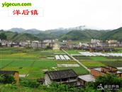 福建省,南平市,延平区,洋后镇,洋后村