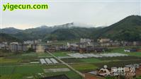 福建省,南平市,延平区,洋后镇,洋后村