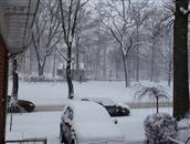 西林村 纽约下雪啦