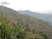 福建省,福州市,福清市,渔溪镇,后岐村