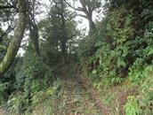 福建省,福州市,福清市,渔溪镇,后岐村