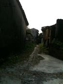 新寮村 百年古巷，棕青色的石头路，久远伫立的老房子