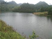 贵州省,毕节市,织金县,阿弓镇,狗场村