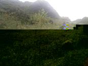 贵州省,毕节市,织金县,阿弓镇,狗场村