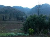 贵州省,毕节市,织金县,阿弓镇,狗场村