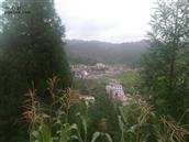 贵州省,毕节市,织金县,阿弓镇,狗场村