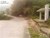 福建省,南平市,延平区,洋后镇,后坪村