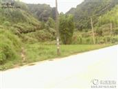 福建省,南平市,延平区,洋后镇,后坪村